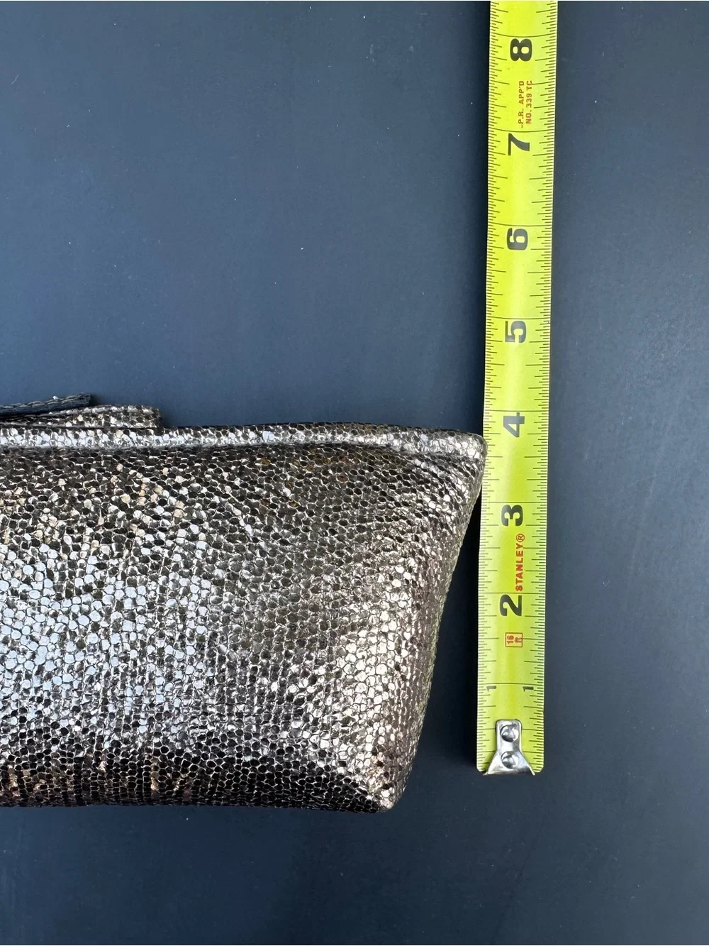 NWT Madewell Piazza Zip Pouch in Metallic Leather